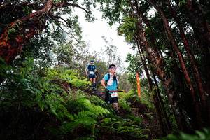 BIB: 
                            <button type="button" onclick="openModal(26202042)" class="btn btn-primary btn-sm float-right btn-popup" data-toggle="modal" data-target=".modal-high-quality">
                        <i class="fas fa-shopping-cart"></i> Add to Cart
                    </button>
                                            <button type="button" onclick="isThisMe(26202042, true)" class="btn btn-success btn-sm float-right btn-popup btn-isme hidden" data-toggle="tooltip" data-placement="bottom" title="นี่คือรูปของคุณใช่ไหม คลิกที่นี่เพื่อเอาเข้าอัลบั้ม">
                        <i class="fas fa-plus"></i> Add to album
                    </button>
                    <button type="button" onclick="isThisMe(26202042, false)" class="btn btn-warning btn-sm float-right btn-popup btn-isnotme hidden">
                        <i class="fas fa-ban"></i> Remove from album
                    </button>